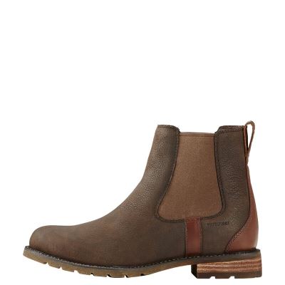 Ariat Wexford - Enkel Laarzen Koffie Dames - 39698-041